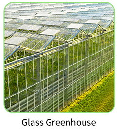 Multi-Span Agricultural Greenhouse 6m-12m Width with 150/200micron PE Film