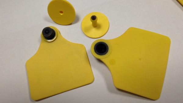 Quality Animal ID Custom Ear Tags Livestock Identifications Waterproof Structure Design for sale