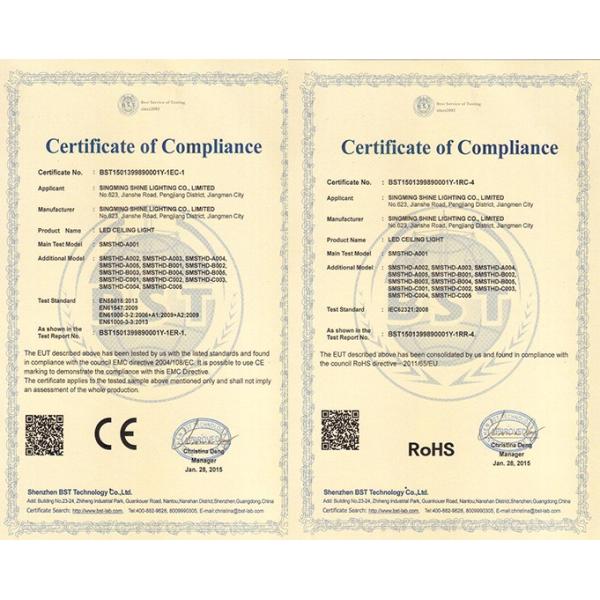 Round Square Double Color Led Ceiling Panel Lamp Surface Mounted SMD Recessed12+6W LED Panel Light