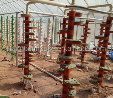 Hydroponic Growing System for Tomatoes in Dutch Bucket Easy Assembly and Efficiency