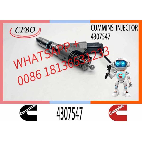 CUMMINS Fuel Systems QSM ISM Diesel Engine CUMMINS 4307547 Fuel Injector diesel Fuel Injector cummins M11 Engine Parts