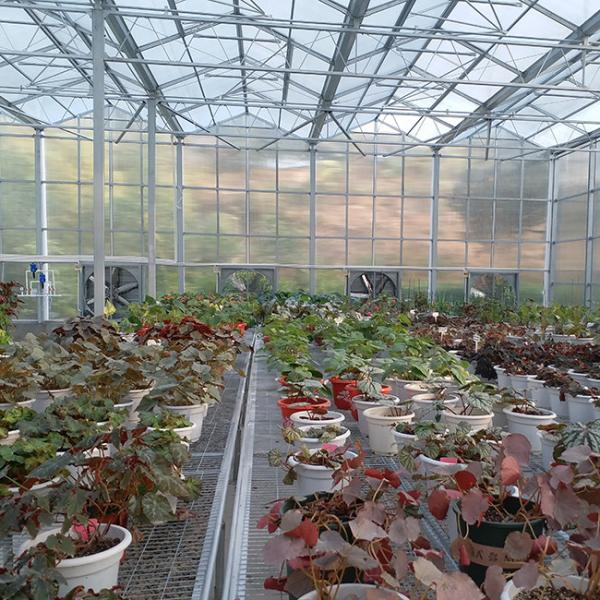 Good Thermal Insulation Venlo Polycarbonate Sheet PC Panel Greenhouse