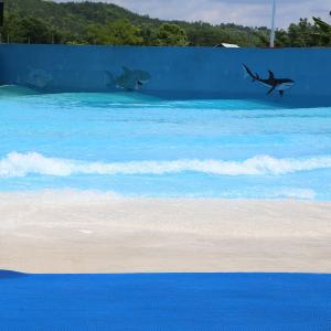 China Amusement Park Artificial Swim Wave Pool Air Operated Customizable wholesale