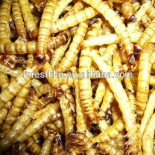 100% Natural Wild Raspberry Extract