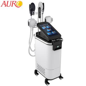 Electromagnetic Electric Muscle Stimulator Machine Fat Reduction Body Fitness