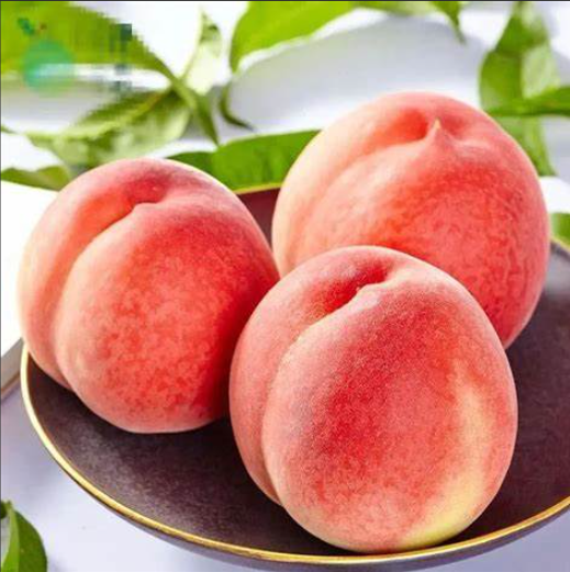 Peach Fragrance Base 20KGS / Jerry Can For Toothpaste And Food Fragrance