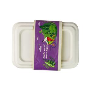 China Biodergadable Sugarcane Bagasse Food Container Pulp Molded Harmless Disposable wholesale