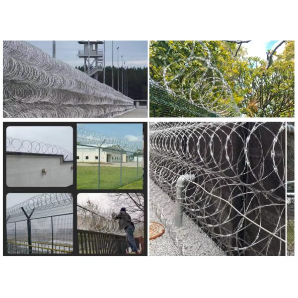 Hot Dipped Barbed Wire Concertina Security Razor Barbed Wire Anti-climb Security Razor Barbed Wire
