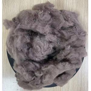 China Semi-dull Luster Recycled Polyester Staple Fiber 5D 32mm Camel wholesale
