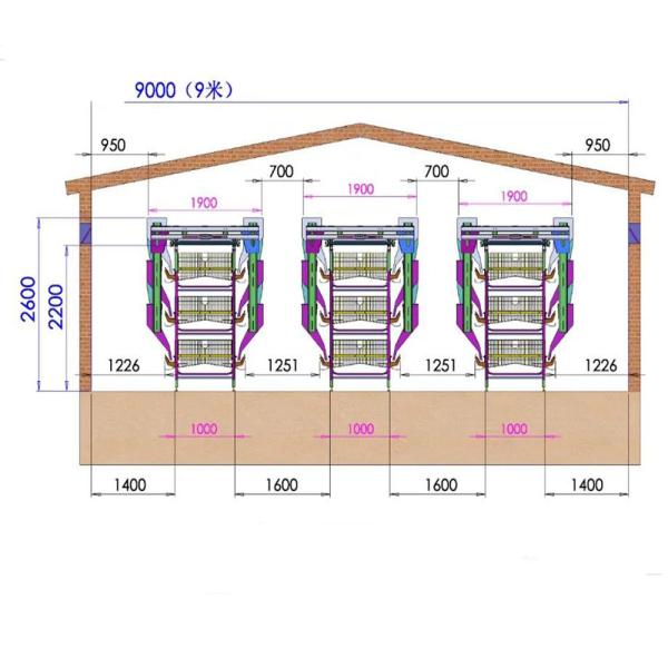 H Type Layer Chicken Cage Hot Dipped Galvanised Chicken Farm