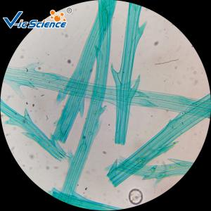 Medical Science Biological Ready Made Microscope Slides Set 50pcs