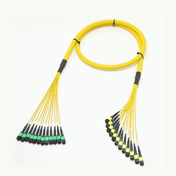 Low Loss MPO Fanout Cable Large Quantity Core 1M 144F SMG657A1 MPO APC to MPO APC Breakout Fiber Optic Patch Cord