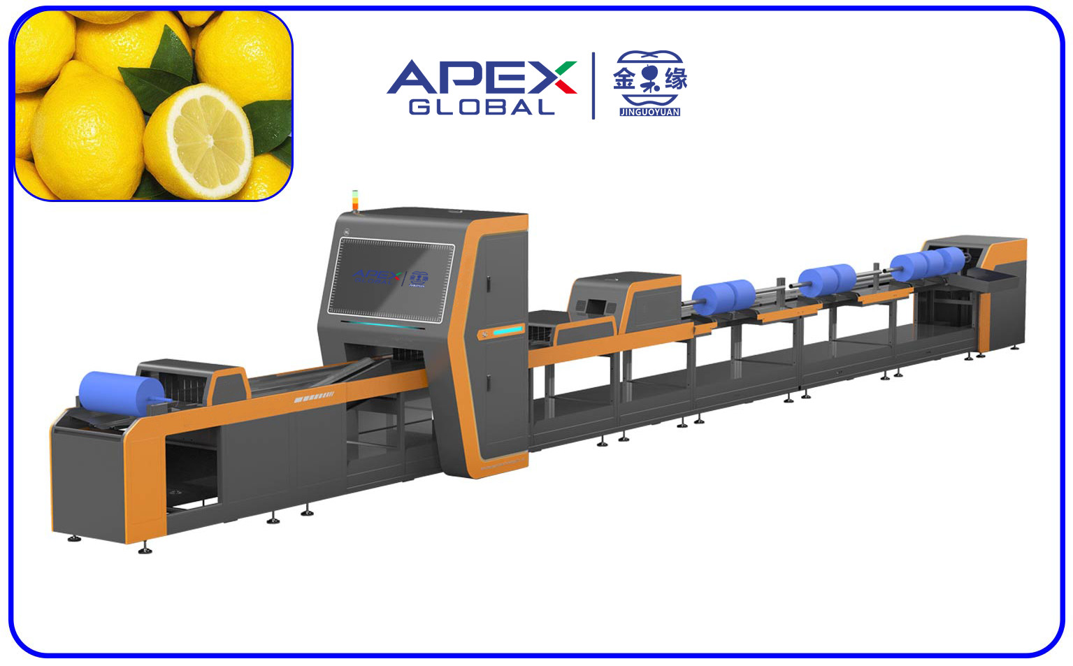 China Intelligent Automatic Lemon Sorting Machine 380V / 50Hz wholesale