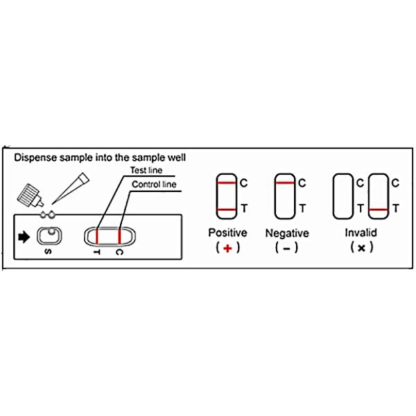TUV In Vitro Diagnostic Plasma Dengue Rapid Test Kit