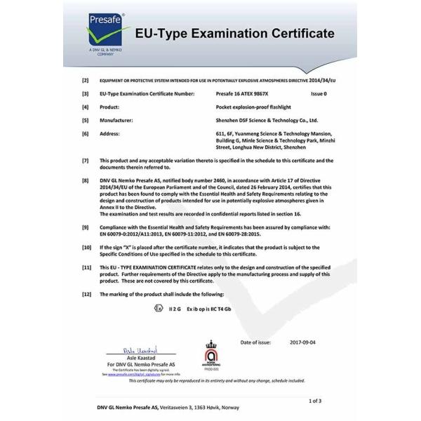 1W 100Lm Hand Torch Light / Explosion Proof Torch For Zone 1 Zone 2 Hazardous Areas