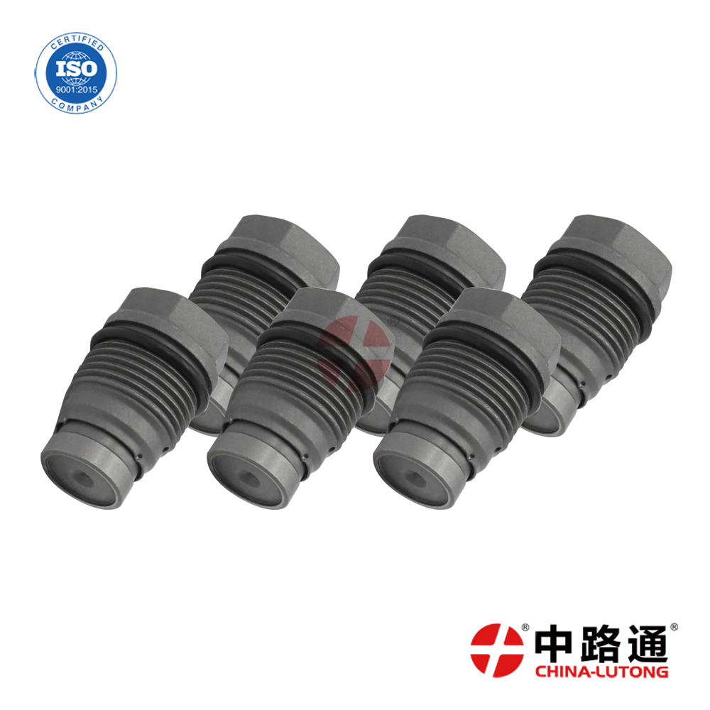 Common Rail Piezo Injector Control Valve Kit 1 110 010 024 for Buy BOSCH Pressure Relief Valve