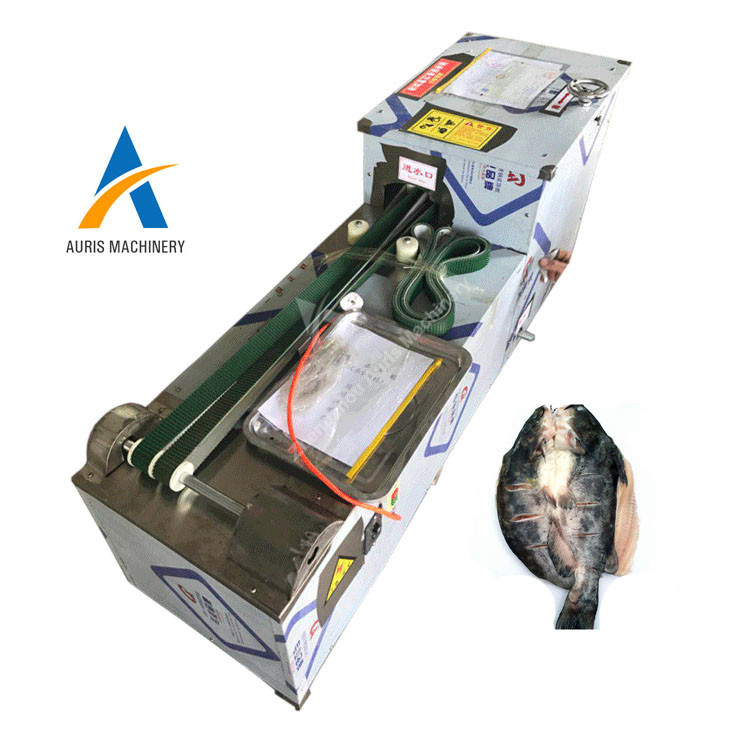China Automatic Commercial Fish Cleaning And Cutting Machine Scale Removing Machine wholesale