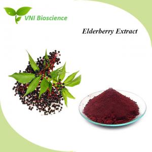 China Violet Fruit Vegetable Powder Supplement Anti Oxidation Elderberry Extract wholesale