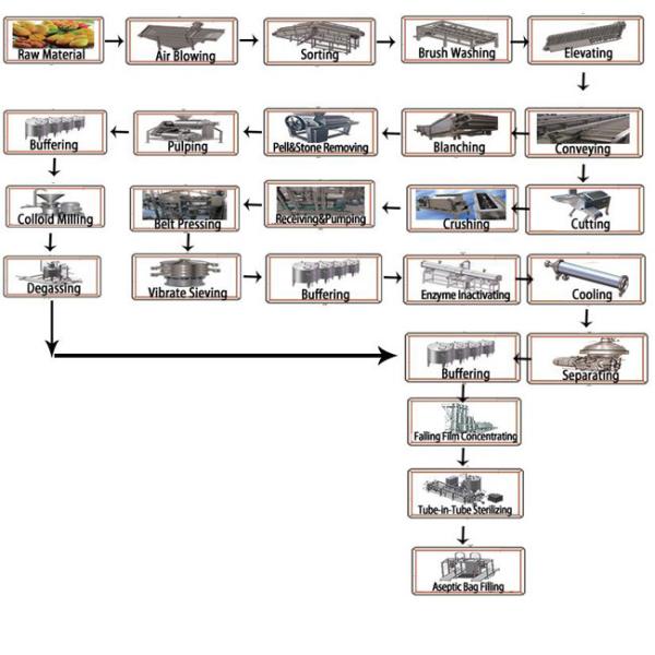 Mango Pulp Processing Machinery , Mango Juice Making Machine 50 Tons / Day