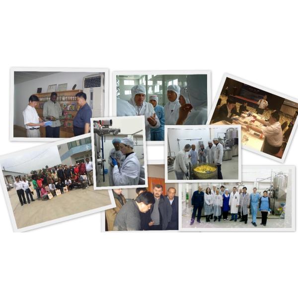 Stainless Steel Fruit And Vegetables Seafood French Fries Chicken Industrial Vacuum Fryer