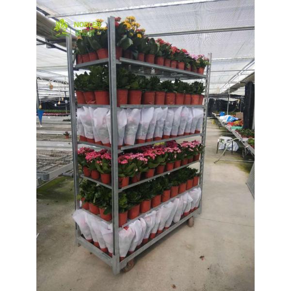 Flower And Plant Trolleys Cc Container , Galvanized Flower Dutch Trolley Carts