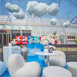 Customized Garden Igloo Bubble Tent Rain Resistance Bubble Tent House