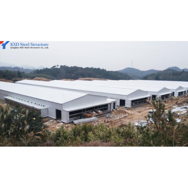 Fully Automatic Animal Feeders Plastic Chicken Feeders And Drinkers