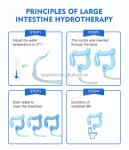 220v Colon Hydrotherapy Machine Skin Rejuvenation 2L/Min Colonix Machine