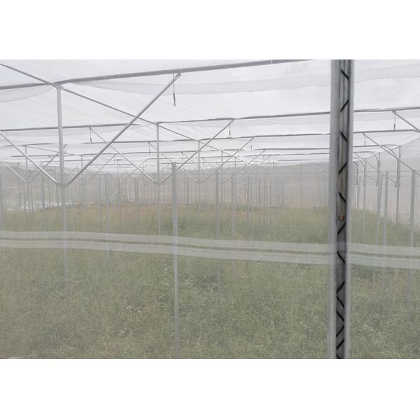 Strong Frame Metal Frame Greenhouse For Potted Flower Cultivation