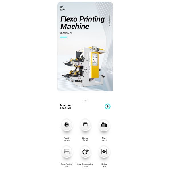 INfrared Drying Two Color Flexo Printing Machine For Roll Paper