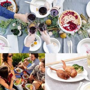 Plant Starch PLA Compostable Disposable Tray Plate Biodegradable