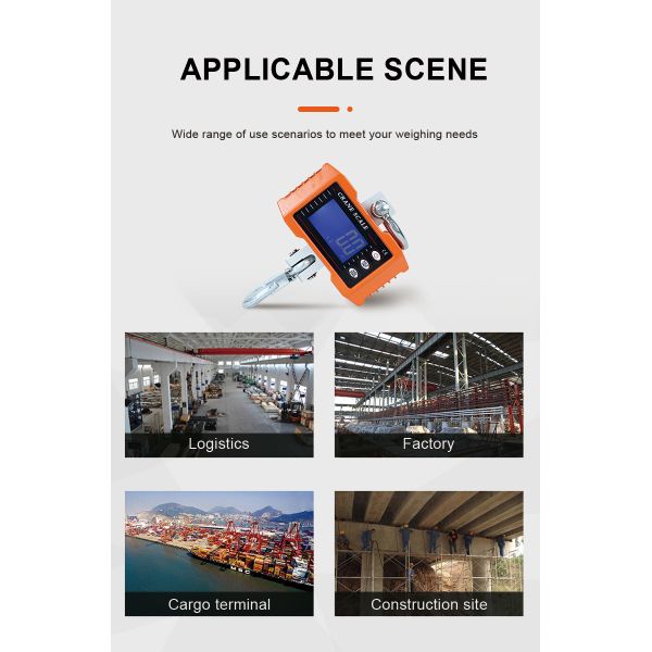 500kg Crane Scale LED/LCD Display OEM Customizable Remote Control Industrial Hanging Scale Electronic Digital Accuracy 50g