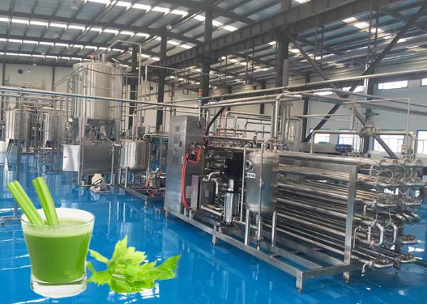 Quality High Efficiency Celery Vegetable Processing Equipment Programmable Control for sale