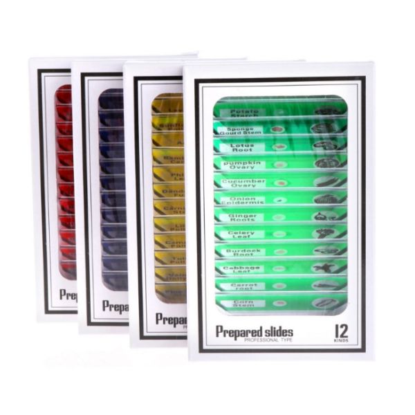 China 48pcs Different Prepared Plastic Microscope Slides for Homeschool Education wholesale