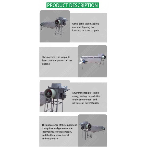 Garlic Sorter 1TPH Automatic Food Processing Machines Garlic Size Sorting