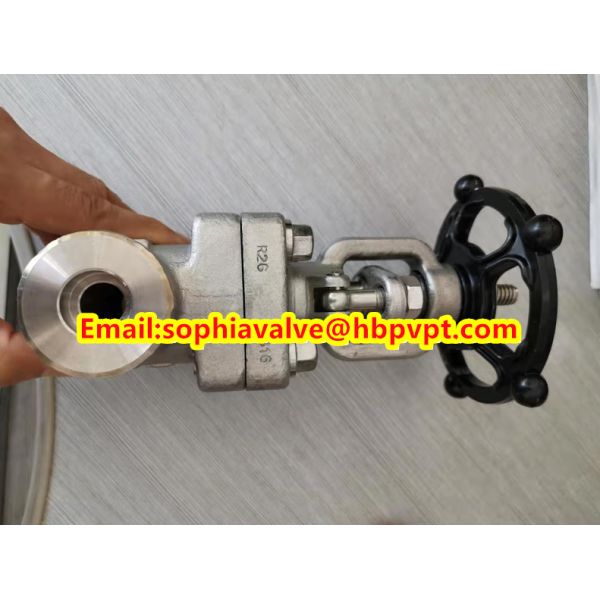 ANSI forged stainless steel globe valve