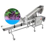 Easy Harvesting with High Safety Level Aquaponics and Microgreens Harvesting