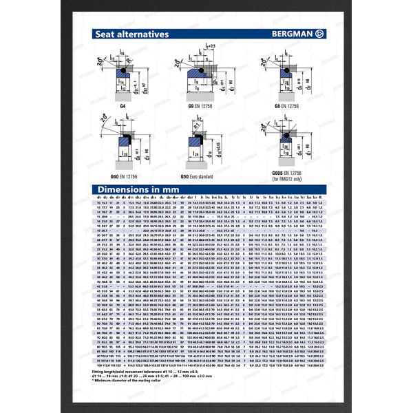 BERGMAN 109/MG1-12mm-110mm G60 G4 G6 G9 G13 G16 BS Bo BP Pump Mechanical Seal