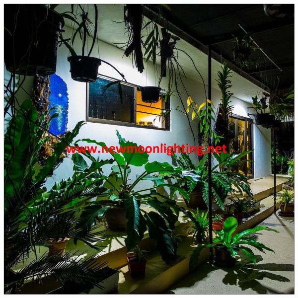 11100LM LED Flood Light, LED Outdoor Security Light, Exterior Flood Lights Fixture with CREE LED Source for Landscape Li