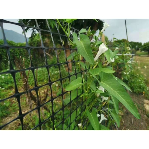 Highway Maintenance Black and White Grass Net Mat with Stable Biaxial Plastic Geogrid