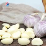 Garlic splitting machine minced garlic processing production Line
