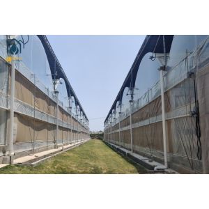 Galvanized Steel Frame PE Film Greenhouse Agriculture Multi Span Tunnel