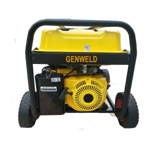 Portable Gasoline Generators WDF-250 250A