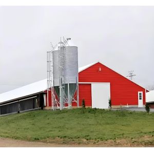 China Q235B Q355B Carbon Steel Poultry House Prefabricated Steel Structure on sale