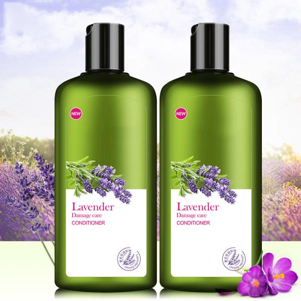 Quality Nourishing Anti Dandruff Shampoo / Lavender Scented Shampoo Mild Creamy Formula for sale