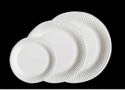 Disposable paper plate 5~10 inch BBQ birthday cake pan children DIY art drawing paper plate.