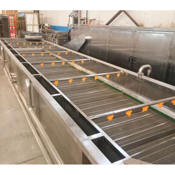 3 KW Power Vegetable Processor Machine Blueberry Washing Machine 800 Kg/H Capacity