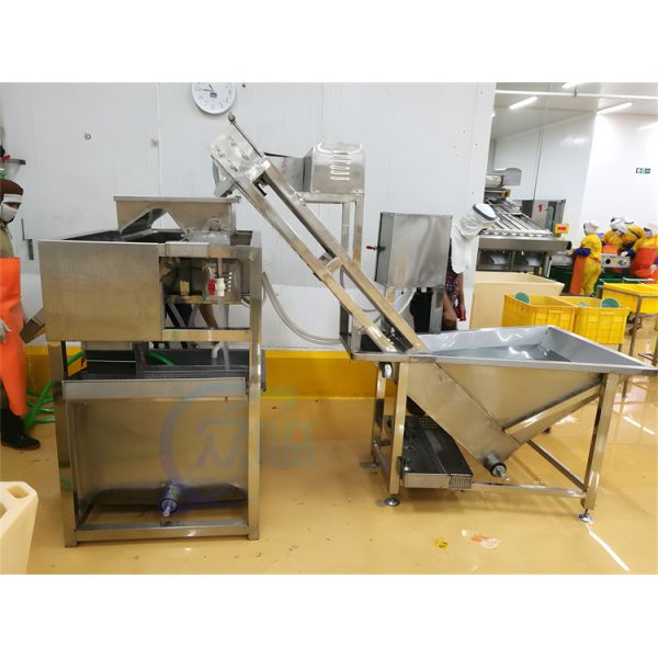 Automatic Shrimp Cleaning Machine 1.5KW Stable Large Capacity