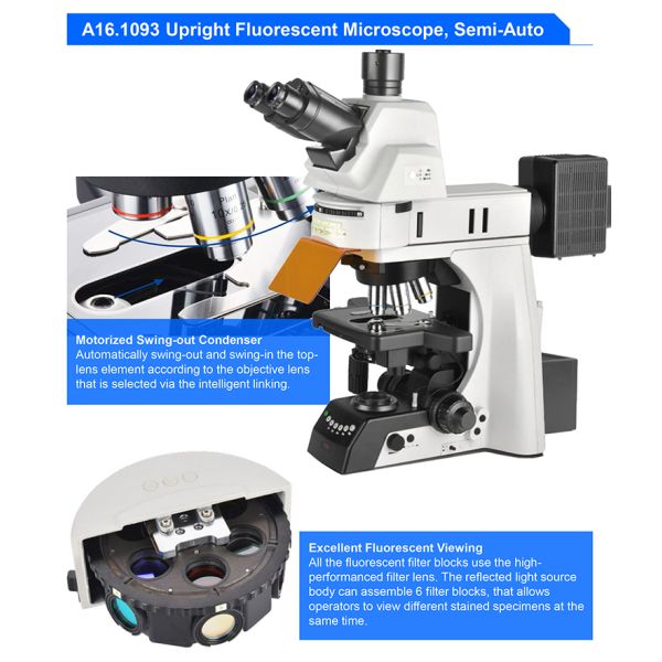OPTO EDU A16.1093-L Trinocular LED Upright Fluorescent Light Microscope Semi Auto