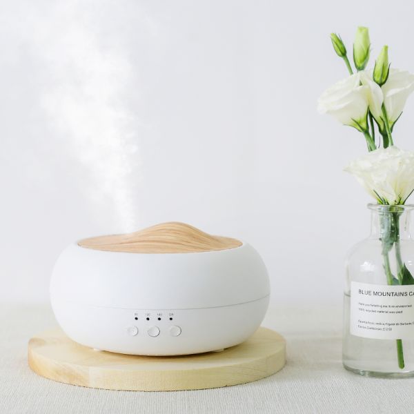 HOMEFISH USB Powered Ultrasonic Aroma Humidifier Tabletop 250ml